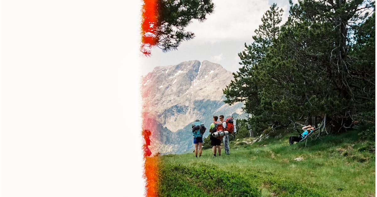 Group Camping Recipes