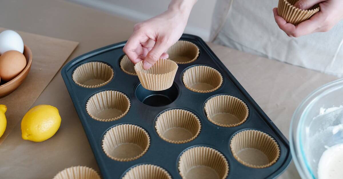 Elderberry Muffin Recipes