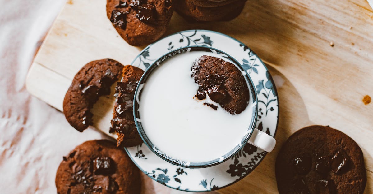 Chocolate Chip Cookie Recipe Molasses
