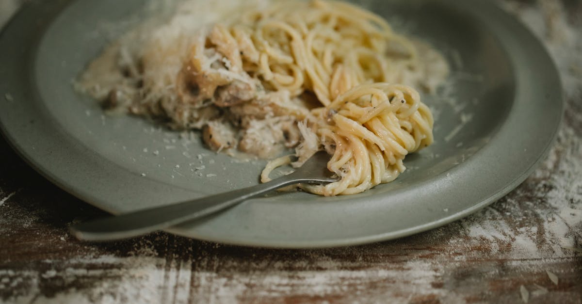Applebees Parmesan Cream Sauce Recipe