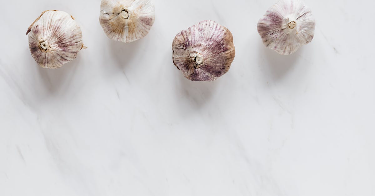 Garlic Shots Recipe