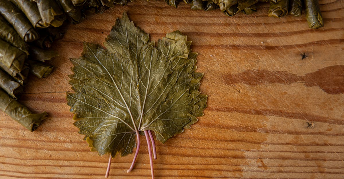 Dill Pickle Recipe Grape Leaves