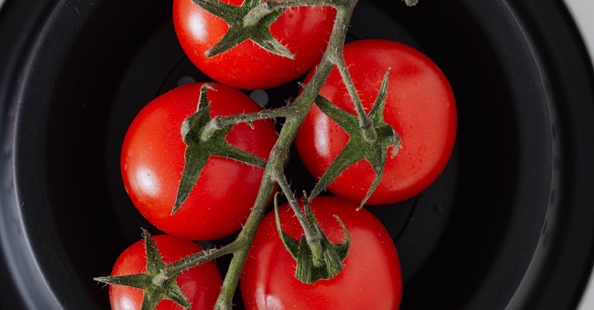 Diet For A Small Planet Recipes