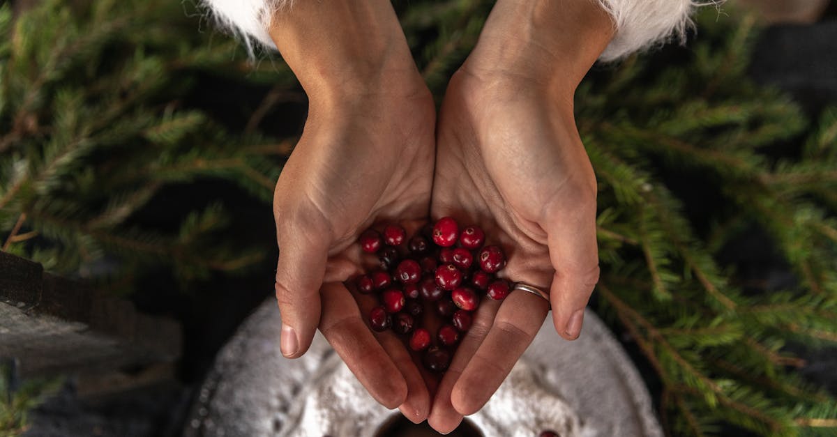 Ocean Spray Cranberry Cake Recipe