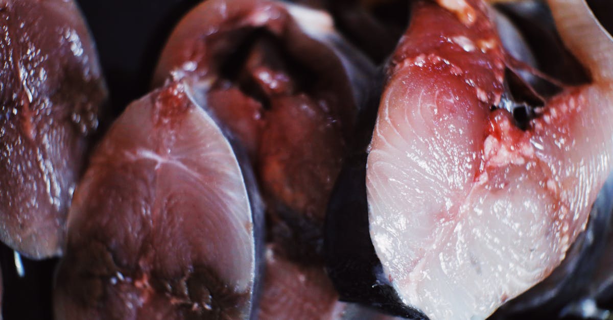 Recipe Raw Bristle Whisker Catfish