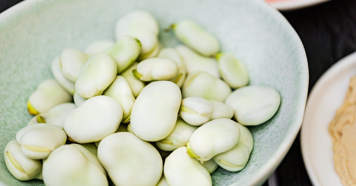 Ground Lupin Bean Recipes