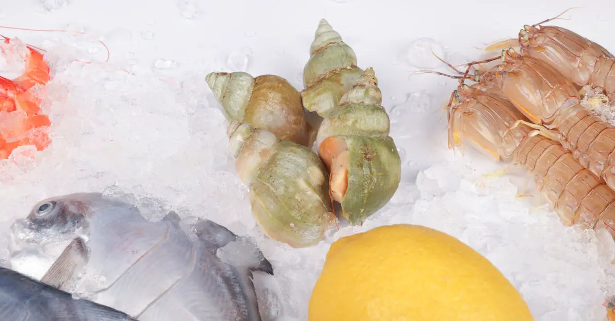 Recipe For Outback Clam Chowder