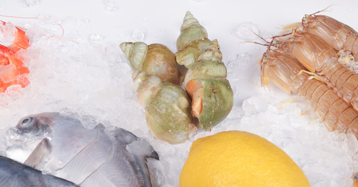 Lemon Frozen Yogurt Recipe