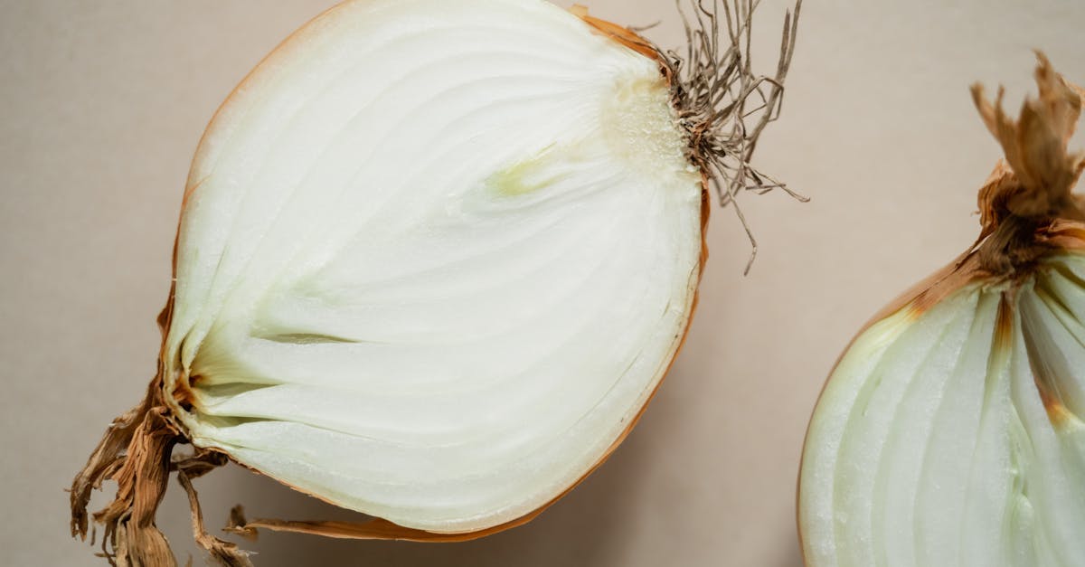 Name Root Recipe