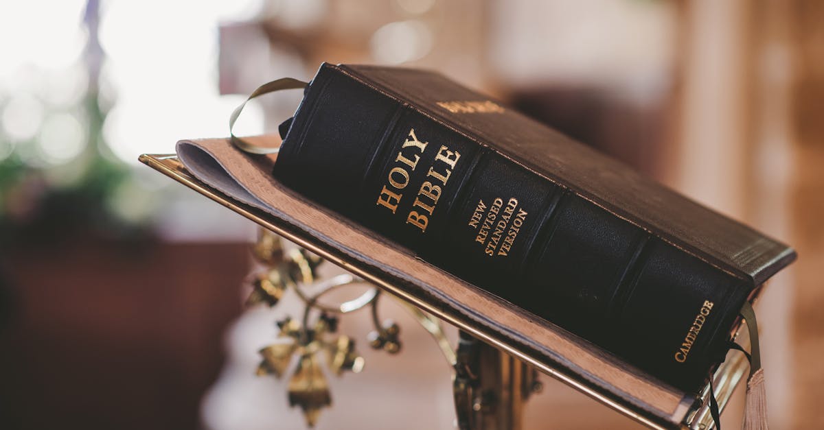 Holy Gospel Rub Recipe