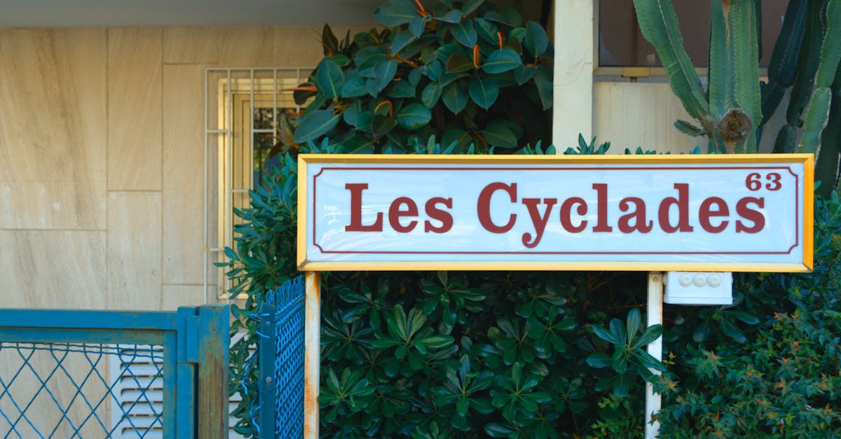 French Summer Recipes