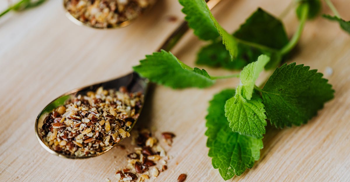Mint Mule Recipe