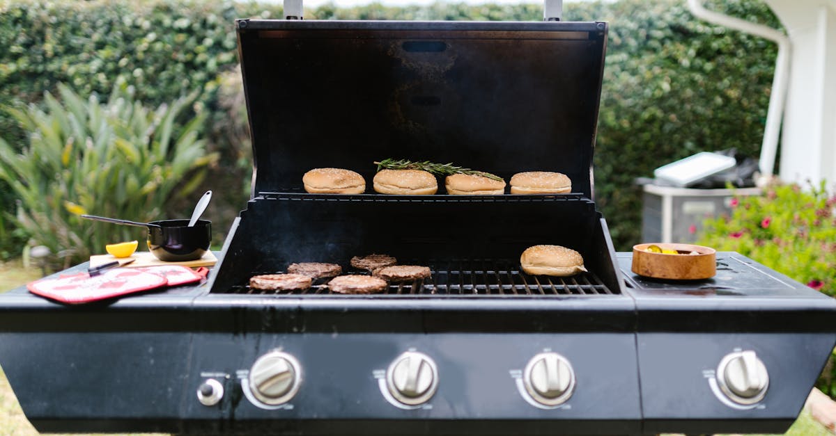 Ninja Grill Air Fryer Recipes