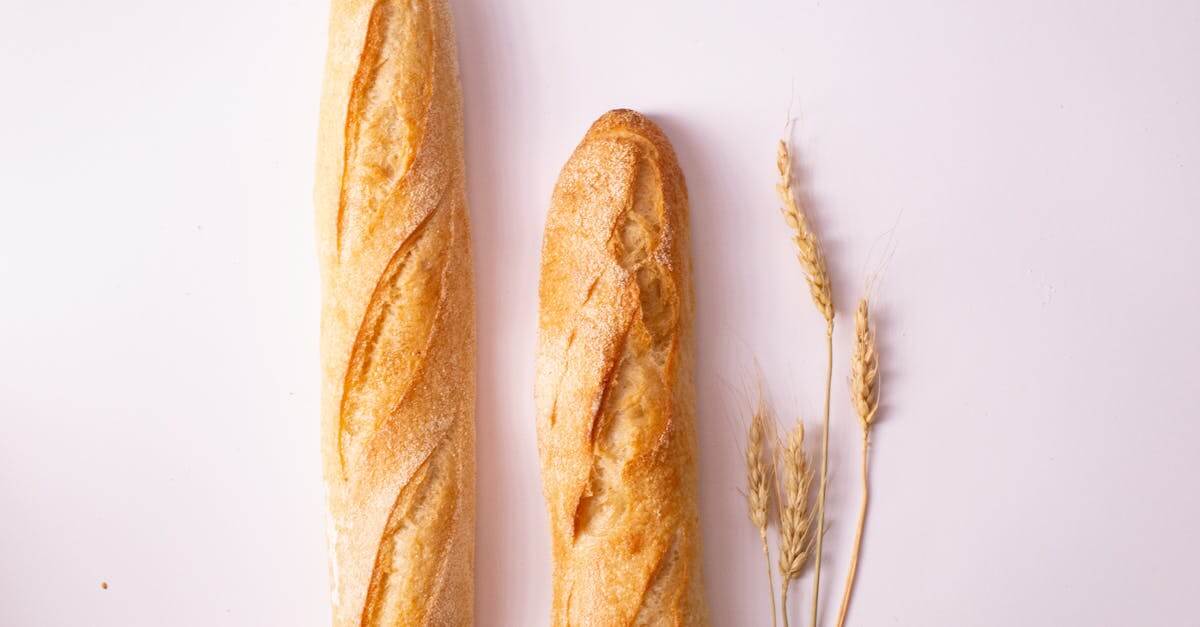 Whole Wheat Sourdough Discard Recipes