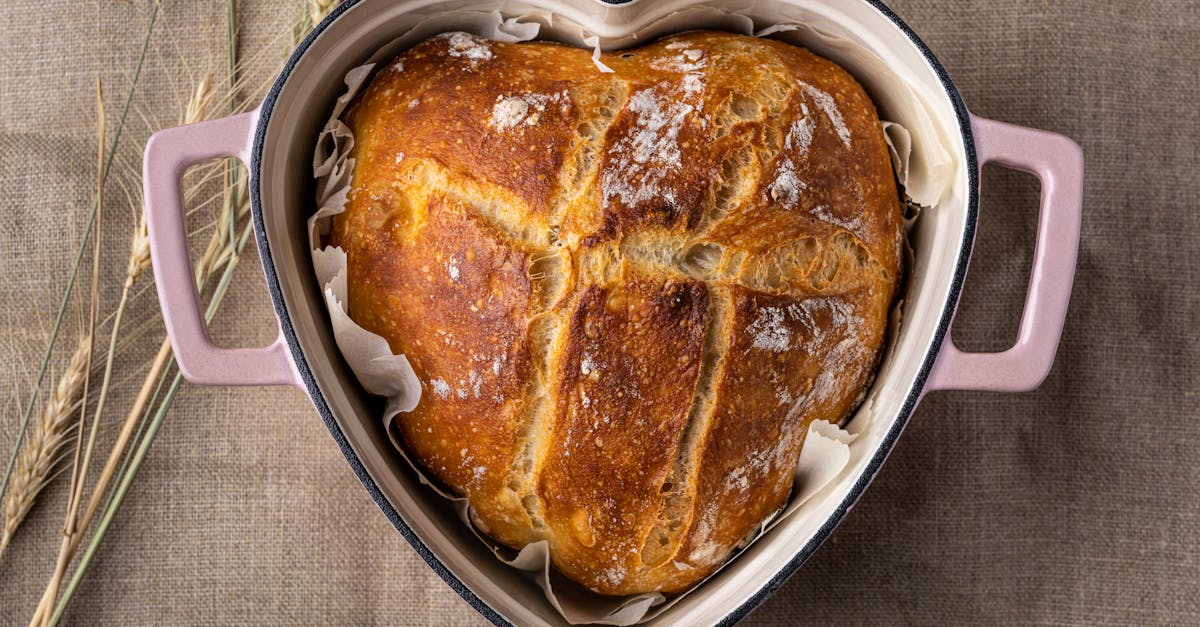 High Altitude Wheat Bread Recipe