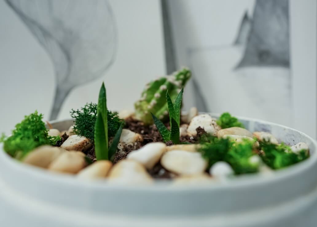 Soy Free Vegan Recipes for Delicious Plant-Based Meals