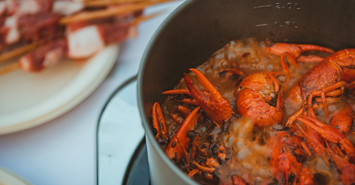 Southern Salmon Stew Recipe