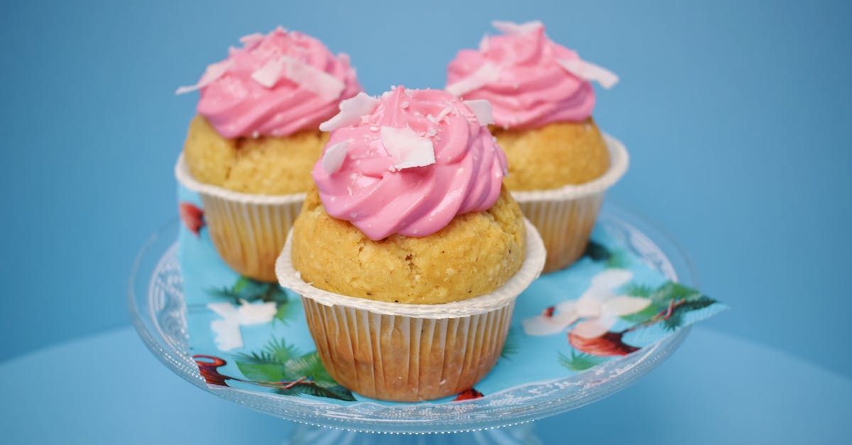 Sugar Free Creami Recipes