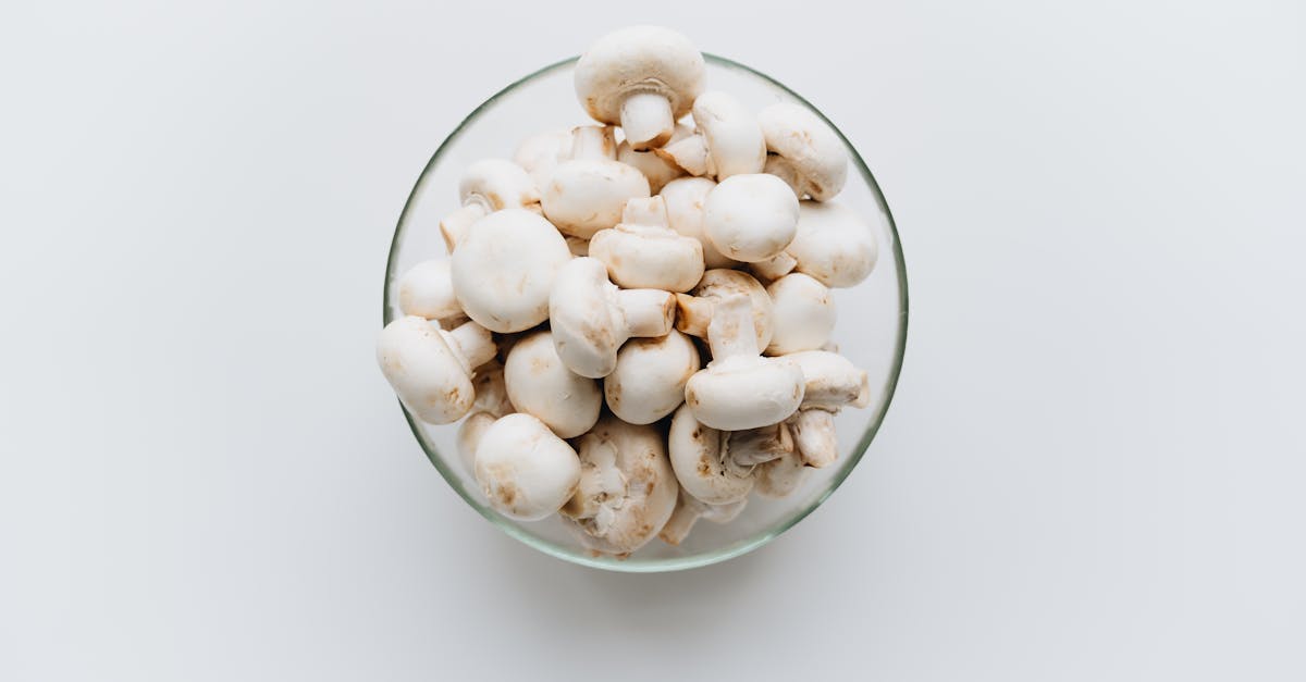 White Fungus Recipe
