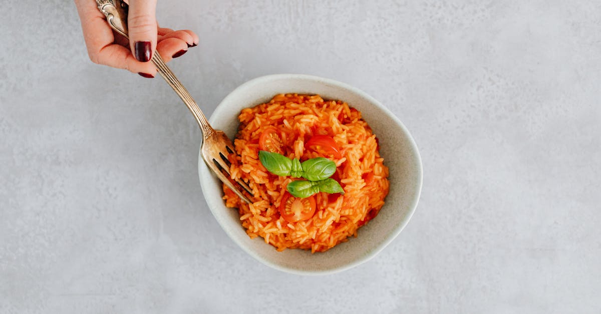 Rice And Ricotta Cheese Recipes