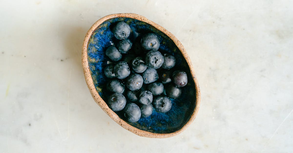 Nature'S Recipe Vs Blue Buffalo