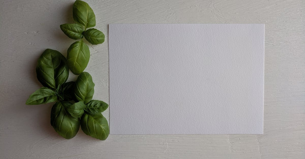 Ajwain Leaf Recipes