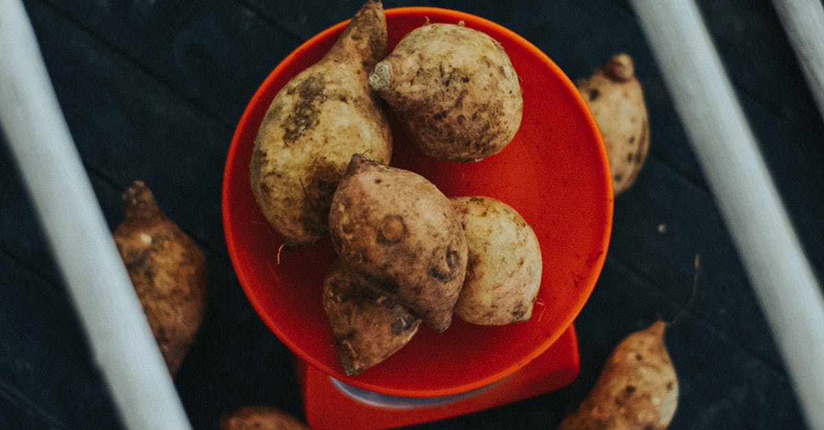 Sweet Potato Crackers Carnivore Diet Recipe