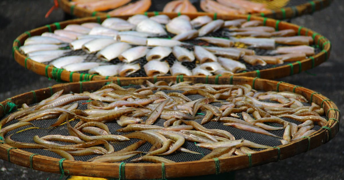 Freshwater Fish Recipes