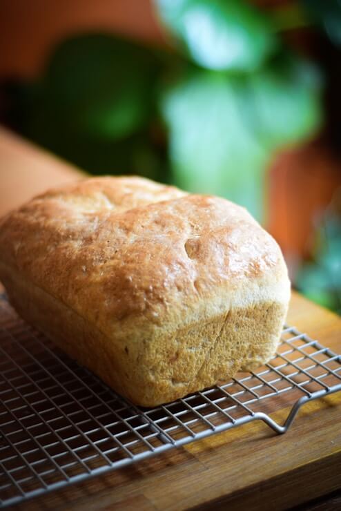 Vegan Bread Maker Recipe for Soft and Delicious Loaves