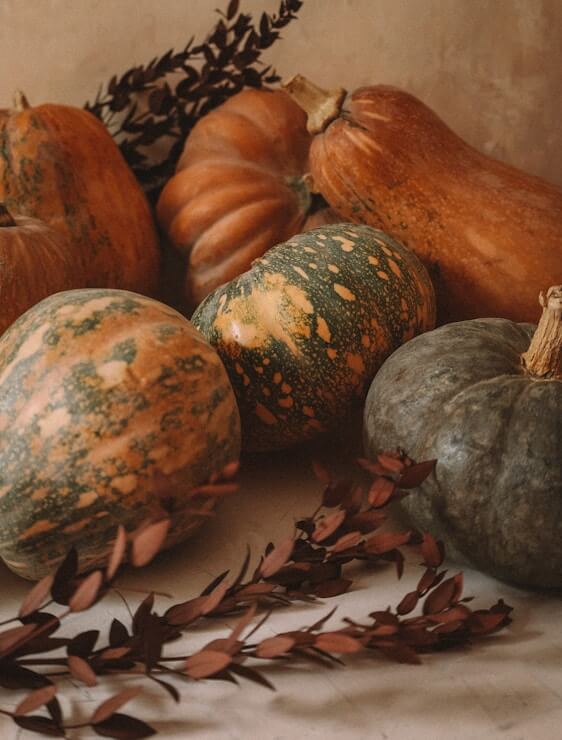 Vegetarian Halloween Recipes for a Spooky, Tasty Feast