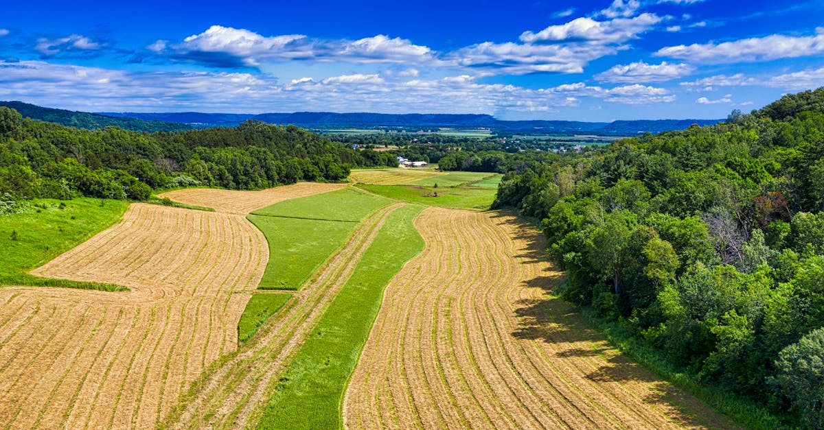 America'S Heartland Recipes