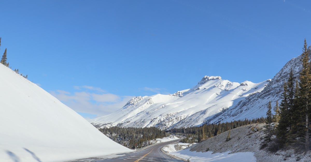 Snow On The Mountain Recipe